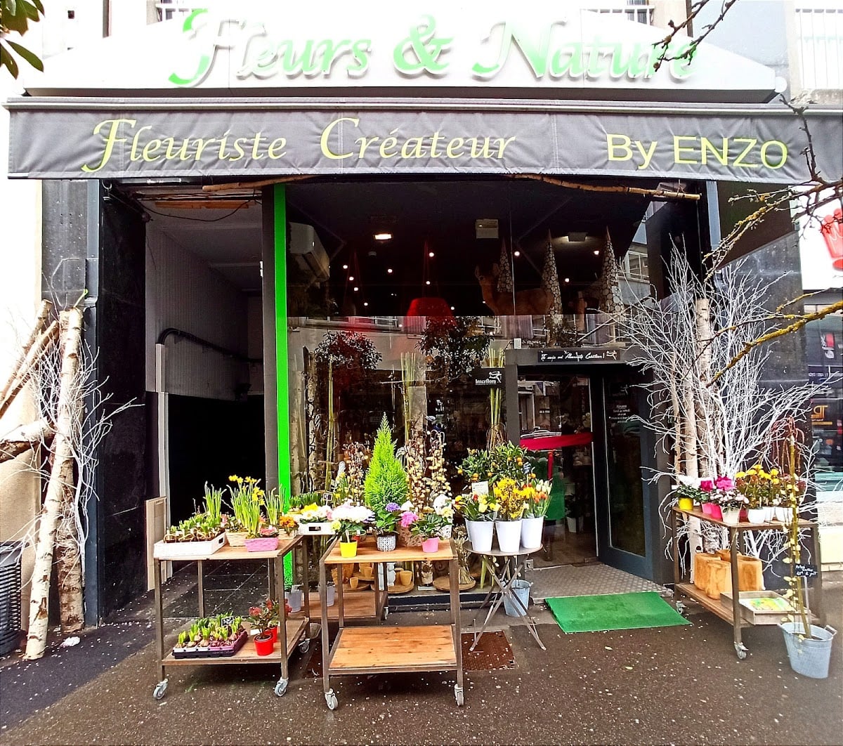 Fleurs et Nature by Enzo